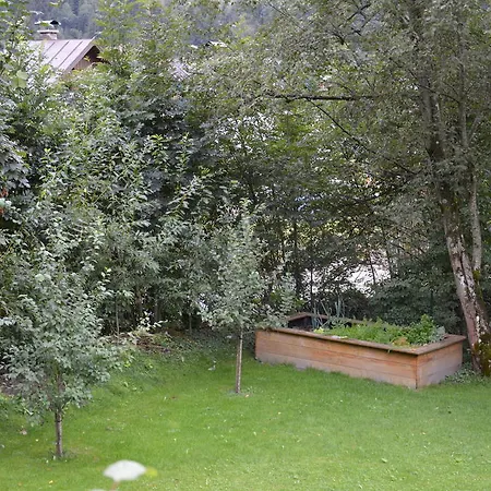 Alte Schmiede * Bad Gastein